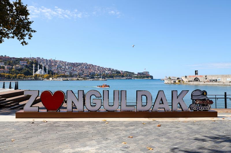 Zonguldak Oto Beyin Kursu