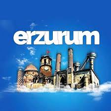 Erzurum Oto Beyin Kursu