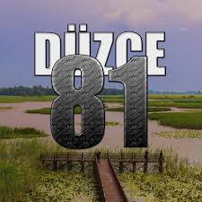 Düzce Oto Beyin Kursu