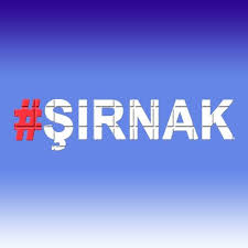 Şırnak Oto Beyin Kursu