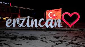 Erzincan Oto Beyin Kursu