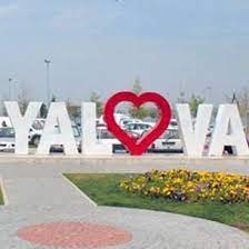 Yalova Oto Beyin Kursu